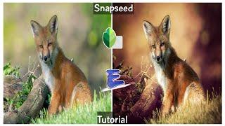 Snapseed moody brown effect photo editing | snapseed tutorial  | #snapseed |  #pixupgrade