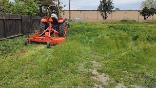 Mowing tall overgrown grass with a tractor. "Kubota M5660"