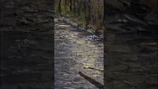 Как нарисовать воду, реку, блики на воде маслом на холсте