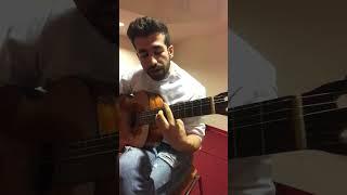 Hamed Jafari-Guitar Mahan Bahram