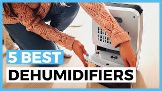 Best Dehumidifiers in 2025 - How to Choose a Dehumidifier to Improve Your Air Quality?