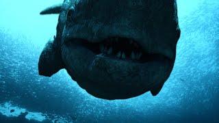 Livyatan & Megalodon animation