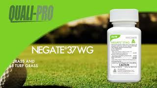 Quali-Pro Negate Product Spotlight 2022