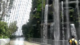 Cloud Forest at Gardens by the Bay