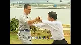 萬籟聲六合門 八步鉤對練 梁超群 #martialarts #kungfu