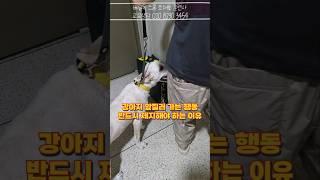 내가 먼저 들어갈꺼야!