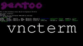 vncterm, exporting virtual console