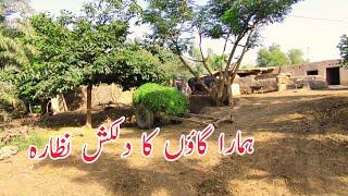 Daily Worke Village Life in Punjab Pakistan | Waseeb Explore