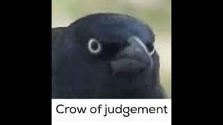 crow of judgement