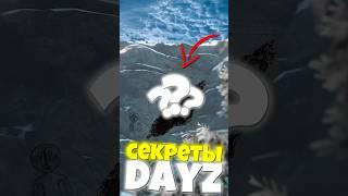 ЭТО САМАЯ ТАЙНАЯ ЗАГАДКА в DAYZ #dayz #дейз