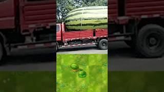 PVZ Plants in real life 