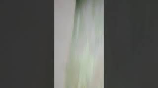 9 мая 2024 г.