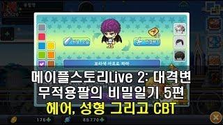 메이플스토리Live 2: 대격변 무적용팔의 비밀일기 5 -  헤어, 성형 그리고 CBT 편