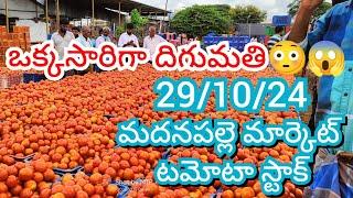 29-10-24 Madanapalle Tomato Market price Today || Today Tomato Market Rate in Madanapalle #today