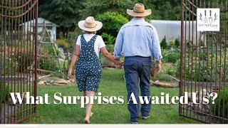 What Surprises Awaited Us In The Potager Garden Upon Returning From Our Travels?