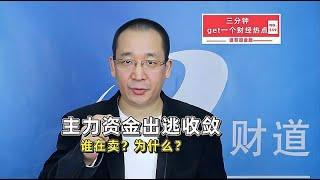 主力资金出逃收敛，谁在卖？为什么？【道哥道金融】