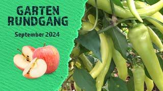 Gartenrundgang im September 2024