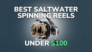 The BEST Saltwater Spinning Reels UNDER $100 [in 2024]