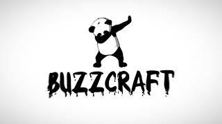 Buzzcraft intro