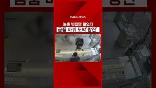 빈집 털고 도박에 털리고 #도박 #중독 #농촌 #빈집 #헬로tv뉴스