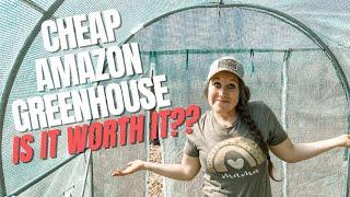 Cheap Amazon walk-in greenhouse || Is it worth it?? Full review!