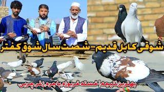 روایت از شصت سال شوق کفتر- خانه ما بدون کفتر نبوده اگر کفتر نباشد...| I have pigeon over 60 years