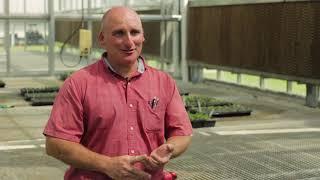 Potato Seeds with Mark Clough, NC State Extension Area Specialized Agent