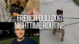 French Bulldog Nighttime Routine - DAY IN THE LIFE