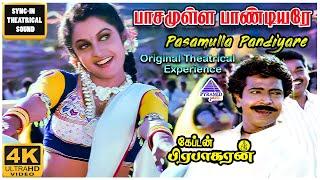 Pasamulla Pandiyare 4K HD Video Song | Captain Prabhakaran Movie Songs | Vijayakanth | Ilaiyaraaja