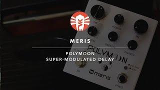 Meris Polymoon | Guitar Pedal | Vintage King