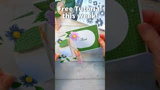 Oval Cut Out Fun Fold Card