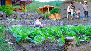 Developing clean and SUSTAINABLE sources of fresh vegetable food! Harvesting FISH, COOK | Green Farm