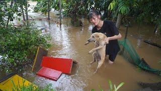 Farm cleanup after typhoon yagi and record flooding - Eat papaya, banana and fishing