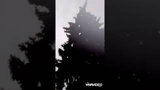 Евгений Стариков / Мы уходили на войну.
