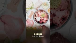Натуральное питание для собаки