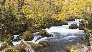 Sömnhjälpen - Fjällbäcken - Endast meditativt ljud