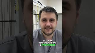 Болит спина? Как я вылечил боль в пояснице!
