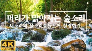 [4k] 3시간 머리가 맑아지는 숲소리 ASMR  새소리와 물소리를 들으며 힐링하기, 새소리, 자연의소리, 휴식명상 (숲 ASMR) By: Soul Korea.