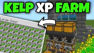 BEST KELP XP FARM - Minecraft Pocket Edition 1.20.80 | Bedrock /Xbox /ps4 /Windows /PC