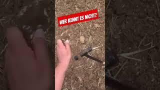 Wer kennt es nicht? #metaldetecting #sondeln #treasurehunting @zim_youtube @DETEKTOREN-SHOP