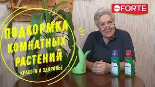 Удобрение для всех комнатных цветов, как правильно разводить и поливать рассказывает Тетя Таня