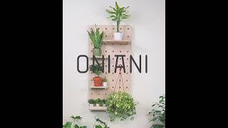 Настенные полки Пегборд "Green house" ONIANI.RU