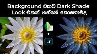 Dark Shade Background:Dark Black Tone Effect Editing Tutorial Sinhala | Snapseed  lightroom tutorial