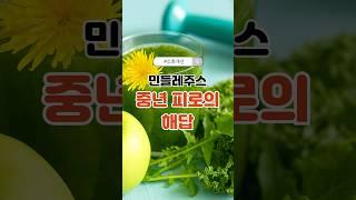 민들레주스, 중년 피로의 해답 #민들레주스 #중년건강 #간해독 #소화개선 #민들레효능