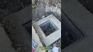 洛杉矶建筑施工 山坡地排水工程实拍