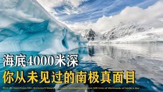 南极海底有什么秘密？水下4000米深，你从未见过的南极真面目【万物知识局】