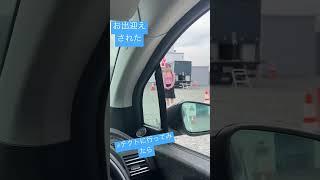 株式会社テクトにクルマ見に行ったら　　お出迎えしてくれた️