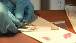 Millennium Youth Forum 2010: Fabricate your own Grätzel cell