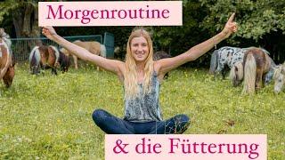 MORGENROUTINE & Fütterung der Minis & Tiere