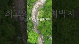 여름캠핑은 무조건 여기로!  #계곡 #그늘 #노지차박 #보발천